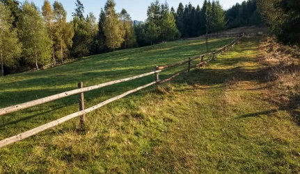 Fence Line and Right of Way Clearing Hazlehurst, MS