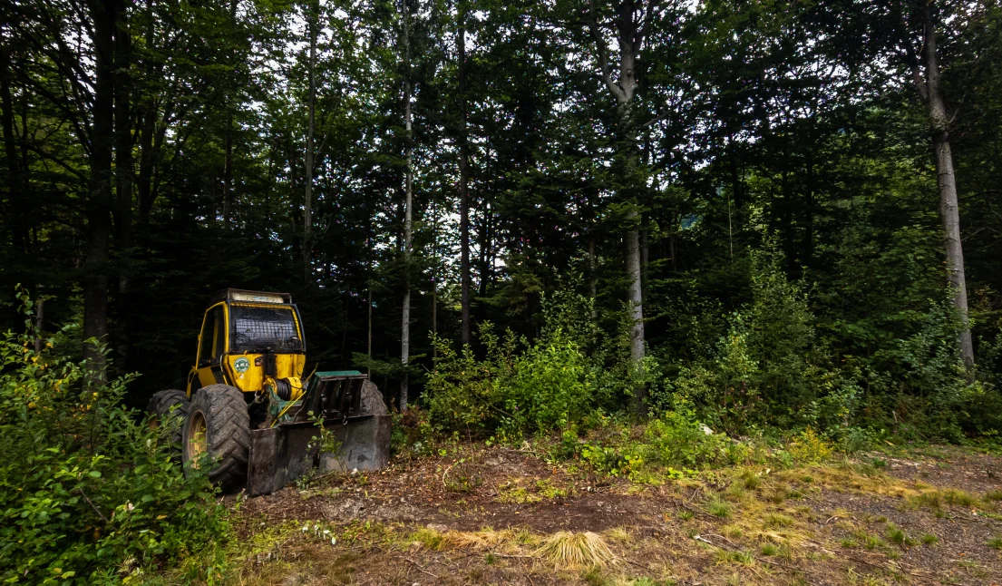 Forestry Mulching Hazlehurst, MS Forestry Mulching Hazlehurst, MS