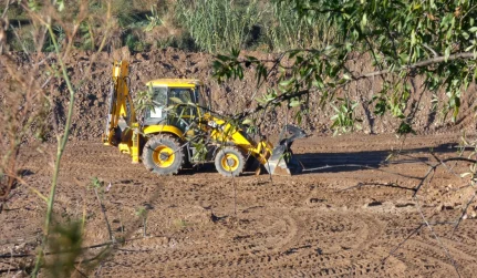 Land Clearing Hazlehurst, MS
