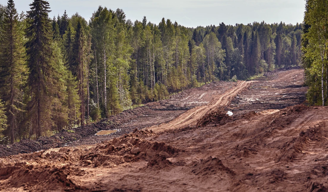 Land Clearing in Byram, MS